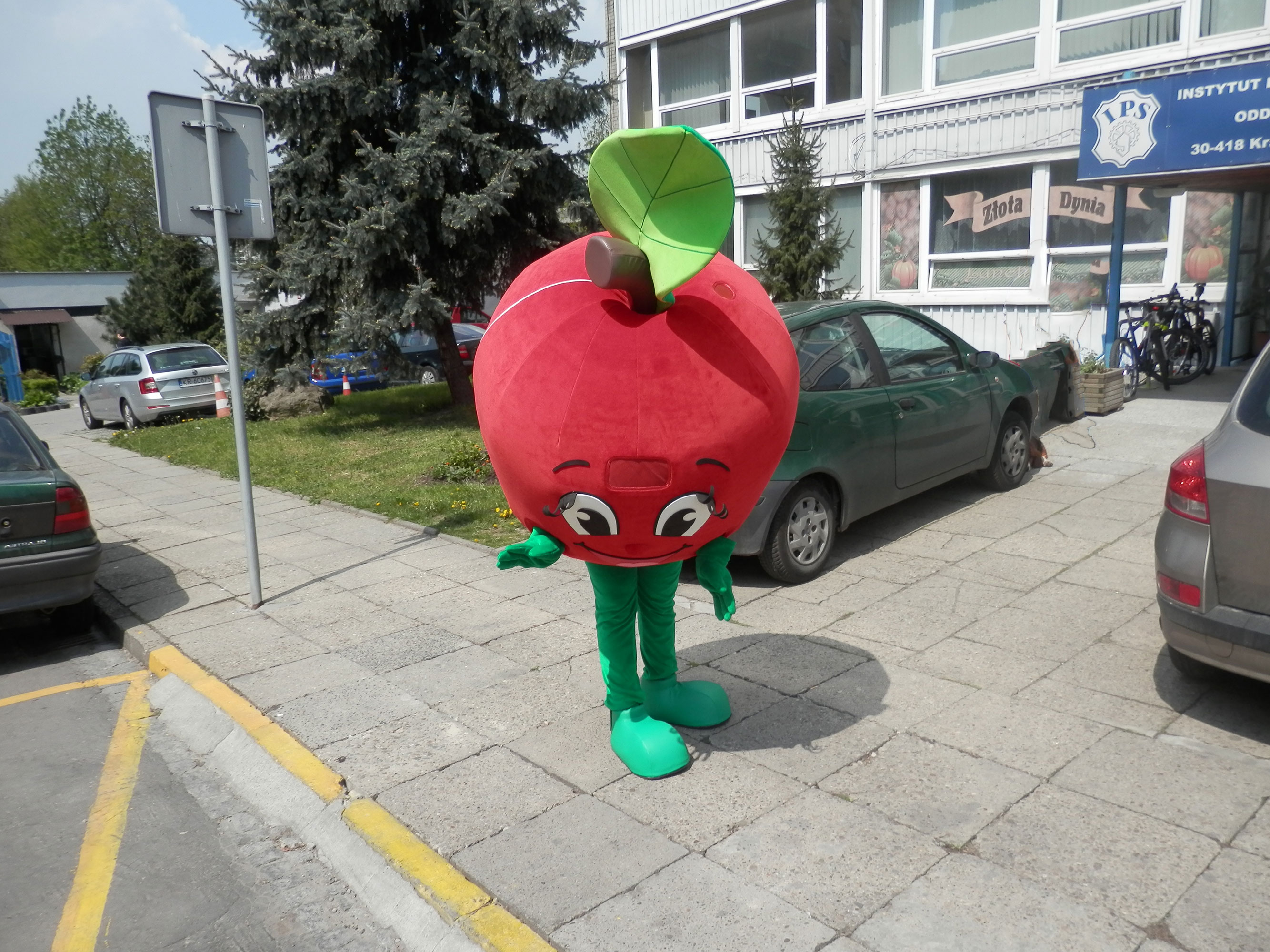 Nasza rada jak promować owoce! Stroje reklamowe Elabika. Jabłko